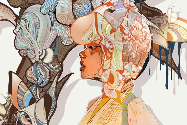 illustrator