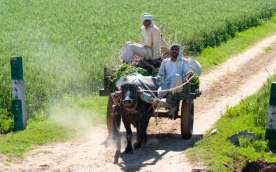 Agribusiness and Agrieconomics