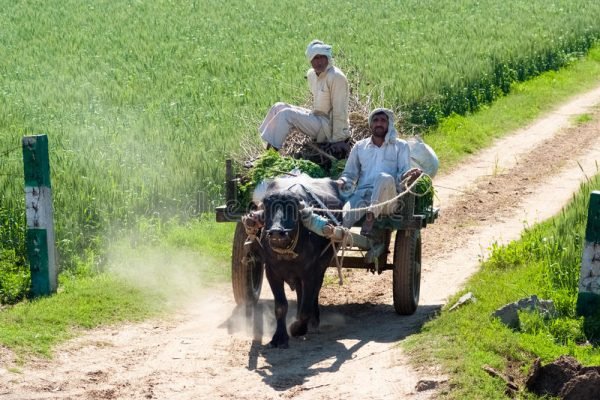 pak=farmers