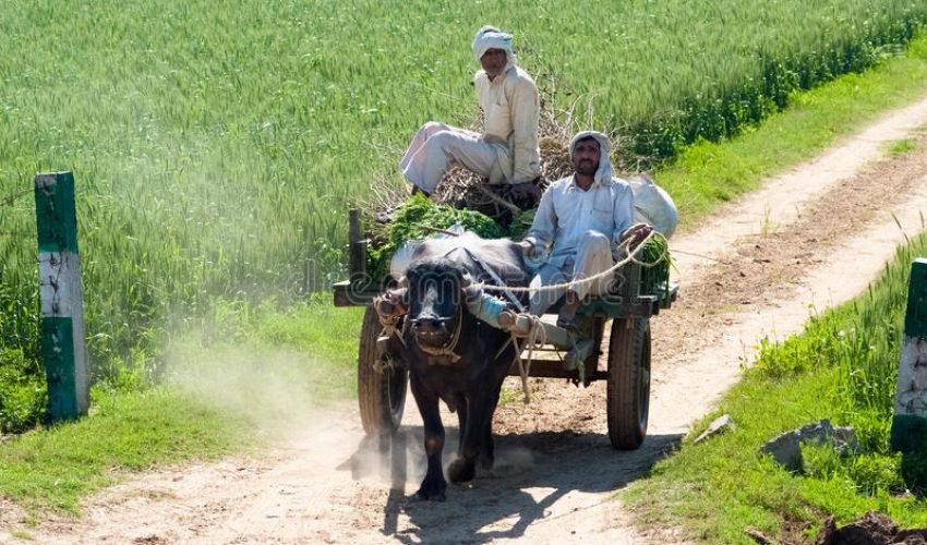 pak=farmers